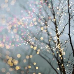 Meet your Posher, Charity